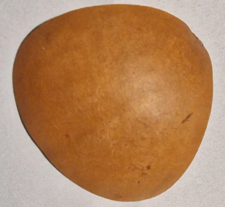 MARYSE VÉGÉTALE ( Assikê )