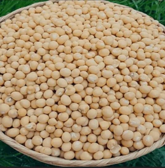 VOANDZOU (Azigokouin) 500g