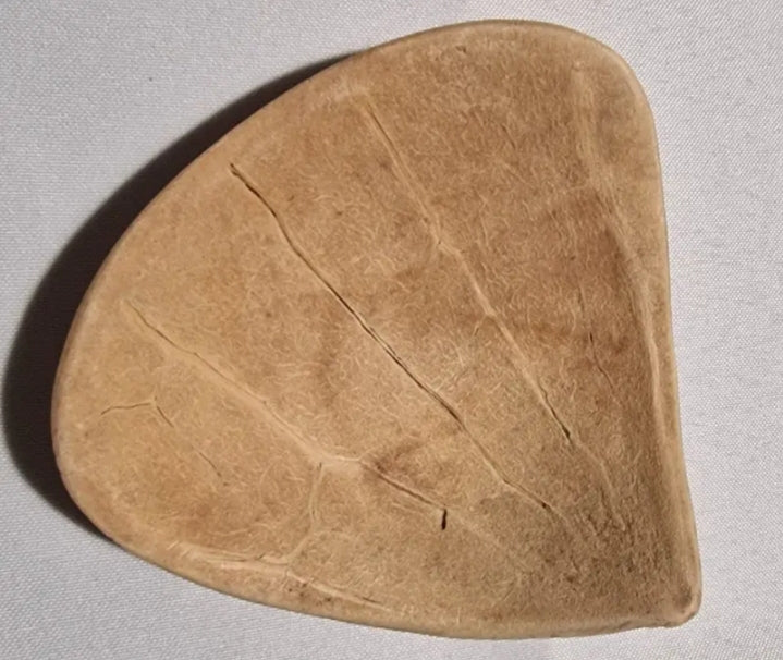 MARYSE VÉGÉTALE ( Assikê )